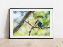 Load image into Gallery viewer, Kingfisher, River Dart Estuary, South Devon | Wildlife Bird Photography Print
