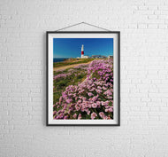 Portland Bill Lighthouse, Dorset | Sea Thrift Wildflower Photography Print