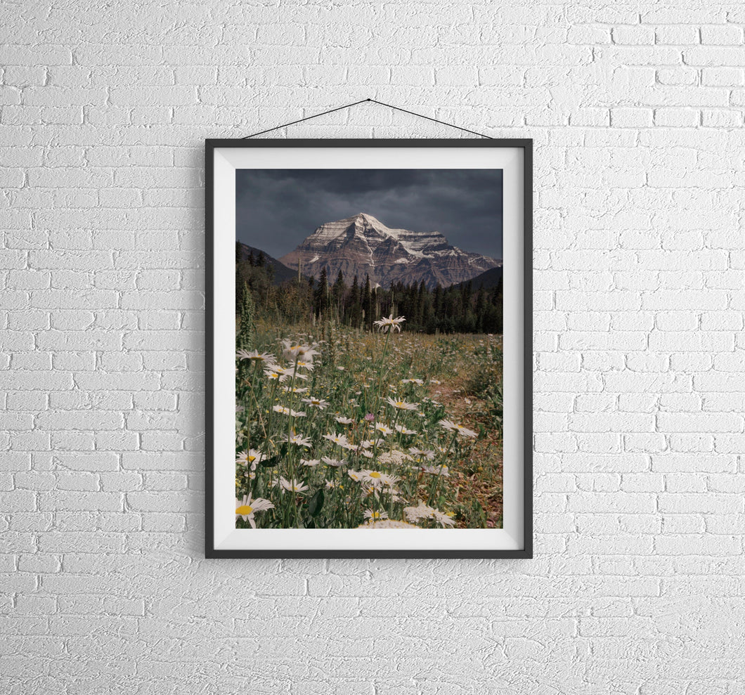 MT Robson Landscape Photography | British Columbia Canada Rockies Mountain Wall Art - Home Decor Gifts