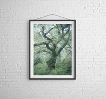 Load image into Gallery viewer, Wistmans Wood Prints | Dartmoor Prints and Twisted Oak Tree Art - Home Decor Gifts
