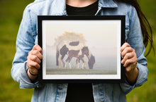 Load image into Gallery viewer, Foal and Pony Equine wall art  | Dartmoor Wildlife Photography, Horse wall art - Home Decor Gifts
