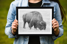 Load image into Gallery viewer, Bison Fine Art Print – Buffalo Black and White Animal Wall Art | Yellowstone National Park Wildlife Nature Decor &amp; Gift Ideas
