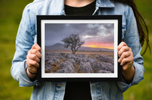 Load image into Gallery viewer, Yorkshire Dales Landscape Photography |  Twistleton Scar Photos Limestone Tree Sunset Wall Art for Sale - Home Decor Gifts
