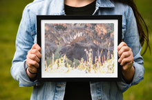 Load image into Gallery viewer, Moose Print – Moose Elk Animal Wall Art | Yellowstone National Park Wildlife Nature Decor &amp; Gift Ideas
