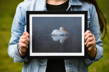 Load image into Gallery viewer, Pelican Wall Art Print – Snake River Yellowstone Bird Photography | Nature Decor &amp; Gift Idea
