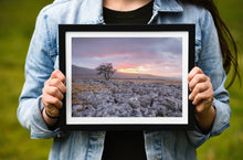 Load image into Gallery viewer, Twistleton Scar Photography | Yorkshire Landscape Photos Limestone Tree Sunset Wall Art for Sale - Home Decor Gifts
