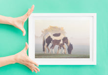 Load image into Gallery viewer, Foal and Pony Equine wall art  | Dartmoor Wildlife Photography, Horse wall art - Home Decor Gifts
