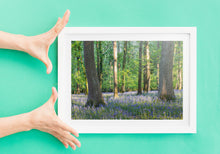 Load image into Gallery viewer, Bluebell Woodland Photography | Spring Wild Flower Art - Home Decor Gifts
