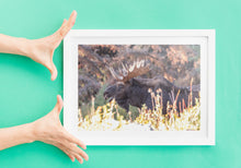Load image into Gallery viewer, Moose Print – Moose Elk Animal Wall Art | Yellowstone National Park Wildlife Nature Decor &amp; Gift Ideas
