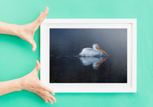 Load image into Gallery viewer, Pelican Wall Art Print – Snake River Yellowstone Bird Photography | Nature Decor &amp; Gift Idea
