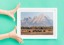 Load image into Gallery viewer, Bison Herd Wall Art – Buffalo Grand Teton | Yellowstone National Park Wildlife Nature Decor &amp; Gift Ideas
