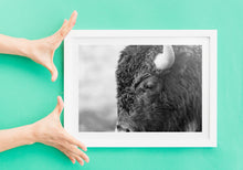 Load image into Gallery viewer, Bison in Grand Teton National Park | Black &amp; White Wildlife Print | Yellowstone
