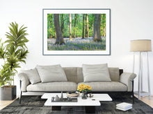 Load image into Gallery viewer, Bluebell Woodland Photography | Spring Wild Flower Art - Home Decor Gifts
