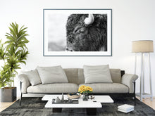 Load image into Gallery viewer, Bison in Grand Teton National Park | Black &amp; White Wildlife Print | Yellowstone
