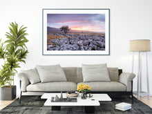Load image into Gallery viewer, Twistleton Scar Photography | Yorkshire Landscape Photos Limestone Tree Sunset Wall Art for Sale - Home Decor Gifts
