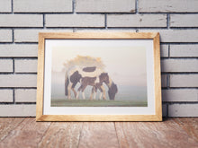 Load image into Gallery viewer, Foal and Pony Equine wall art  | Dartmoor Wildlife Photography, Horse wall art - Home Decor Gifts
