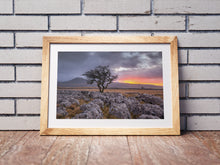 Load image into Gallery viewer, Yorkshire Dales Landscape Photography |  Twistleton Scar Photos Limestone Tree Sunset Wall Art for Sale - Home Decor Gifts

