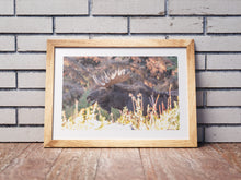 Load image into Gallery viewer, Moose Print – Moose Elk Animal Wall Art | Yellowstone National Park Wildlife Nature Decor &amp; Gift Ideas
