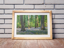 Load image into Gallery viewer, Bluebell Woodland Photography | Spring Wild Flower Art - Home Decor Gifts

