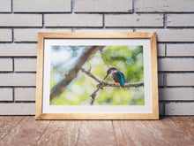 Load image into Gallery viewer, Kingfisher, River Dart Estuary, South Devon | Wildlife Bird Photography Print

