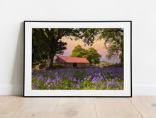Load image into Gallery viewer, Dartmoor Print of Emsworthy Bluebells | Wildflower flora wall art - Home Decor Gifts - Sebastien Coell Photography
