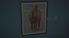 Load and play video in Gallery viewer, Icelandic Horse Art | Animal art for Sale and Wildlife prints - Home Decor Gifts
