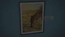 Load and play video in Gallery viewer, Horse Wall Art | Dartmoor Pony Prints and Emsworthy Bluebell Photography
