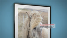 Load and play video in Gallery viewer, Icelandic Horse Art | Equine art for Sale and Wildlife Print Home Decor Gifts
