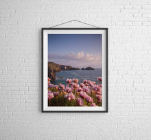 Load image into Gallery viewer, Cornish Wildflower Print | Mother Ivy&#39;s Bay Wall Art, Cornish RNLI Lifeboat Station - Home Decor Gifts - Sebastien Coell Photography
