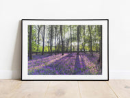 Devon Bluebell Woodland, Spring Tree | Wild Flower Forest Photography Print