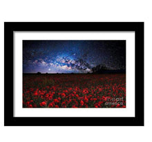 Load image into Gallery viewer, Astrophotography artwork | Poppies at night below the milkyway - Poppy flower art - Sebastien Coell Photography
