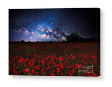 Load image into Gallery viewer, Astrophotography artwork | Poppies at night below the milkyway - Poppy flower art - Sebastien Coell Photography
