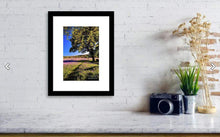 Load image into Gallery viewer, Dartmoor art of Emsworthy Common | Bluebell WildFlower art for Sale - Home Decor - Sebastien Coell Photography
