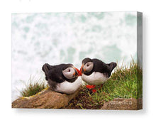 Load image into Gallery viewer, Icelandic Puffin Print | Latrabjarg cliff wall art, Wildlife Prints - Home Decor Gifts - Sebastien Coell Photography
