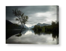 Load image into Gallery viewer, Snowdonia wall art of The Lone Tree Llanberis, Llyn Padarn Mountain Photography for Sale Home Decor Gifts - SCoellPhotography
