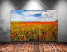 Load image into Gallery viewer, Wildflower Prints of Poly Joke, Poppy Field Photography for Sale, Cornwall Landscape Prints Home Decor Gifts - SCoellPhotography
