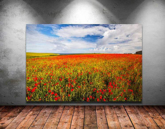 Wildflower Prints of Poly Joke, Poppy Field Photography for Sale, Cornwall Landscape Prints Home Decor Gifts - SCoellPhotography