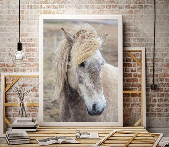 Icelandic Horse Art | Equine art for Sale and Wildlife Print Home Decor Gifts - Sebastien Coell Photography