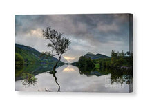 Load image into Gallery viewer, North Wales photography of The Lone Tree | Llanberis wall art - Home Decor Gifts - Sebastien Coell Photography
