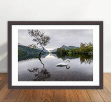Load image into Gallery viewer, Llanberis Lone Tree Prints | Snowdonian art, Llyn Padarn Mountain Photography - Home Decor - Sebastien Coell Photography

