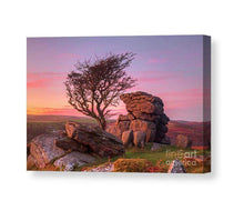 Load image into Gallery viewer, Dartmoor Prints | Hawthorn Tree Wall Art at Haytor Rocks - Home Decor Gifts - Sebastien Coell Photography
