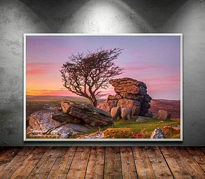 Dartmoor Prints | Hawthorn Tree Wall Art at Haytor Rocks - Home Decor Gifts - Sebastien Coell Photography