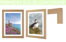 Load image into Gallery viewer, Cornish prints | Godrevy Lighthouse Photography, Sea Pinks wall art, Seascape Photography - Sebastien Coell Photography
