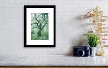 Load image into Gallery viewer, Dartmoor Prints of Wistmans Wood, Woodland Photographic Prints, Twisted Oak Tree wall art, Devon Photography - SCoellPhotography
