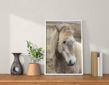 Load image into Gallery viewer, Icelandic Horse Art | Equine art for Sale and Wildlife Print Home Decor Gifts - Sebastien Coell Photography
