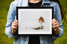Load image into Gallery viewer, Wildlife Prints in the Snow, Robin Prints for Sale and Animal wall art Home Decor Gifts - SCoellPhotography
