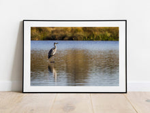 Load image into Gallery viewer, Wildlife Print of a Heron at London Richmond park, Animal Art and Bird Photography Home Decor Gifts - SCoellPhotography
