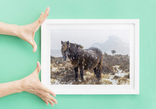 Load image into Gallery viewer, Dartmoor Pony Print | Haytor Rocks in the Snow, Equine wall art - Home Decor Gifts - Sebastien Coell Photography
