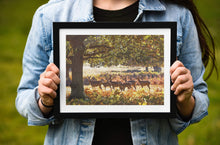 Load image into Gallery viewer, Deer Print | Richmond Park Photography, Wildlife Wall Art, Red Deer Photography - Sebastien Coell Photography
