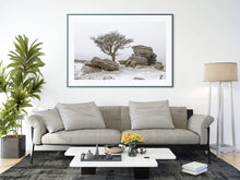 Load image into Gallery viewer, Dartmoor Prints | Hawthorn Tree art, Holwell Lawn Dartmoor Winter Photography - Sebastien Coell Photography
